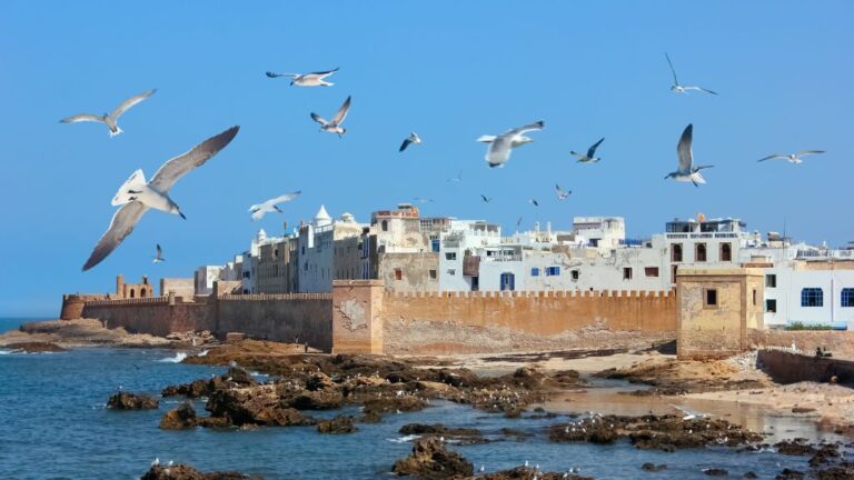 3 Days Agadir to Marrakech via Essaouira